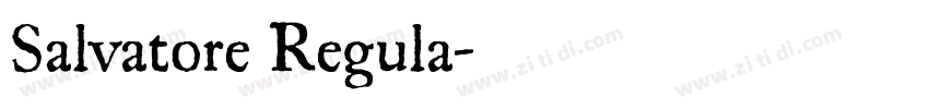 Salvatore Regula字体转换